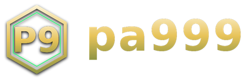 pa999 logo